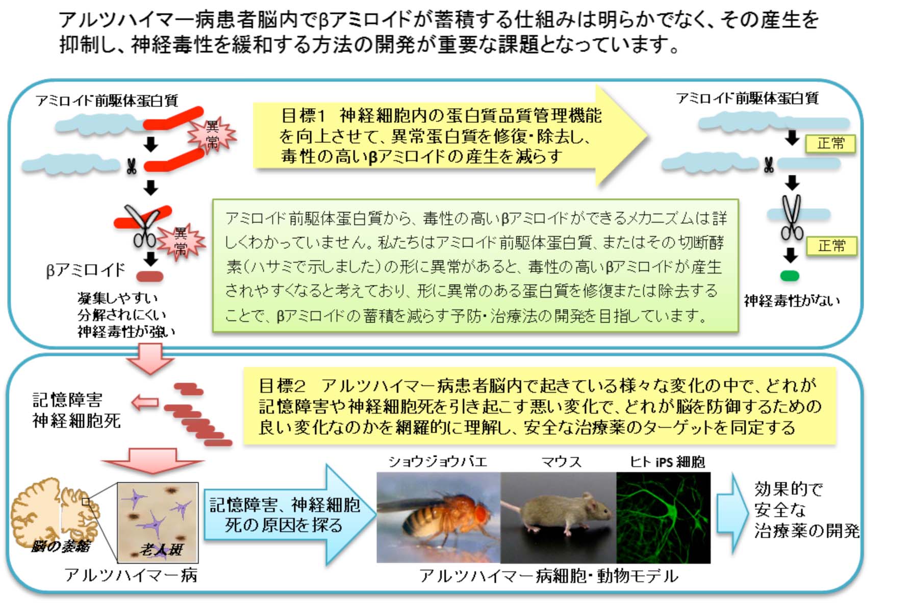研究内容
