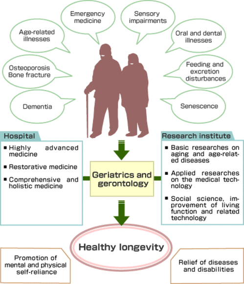 Geriatrics, Gerontology and Aging