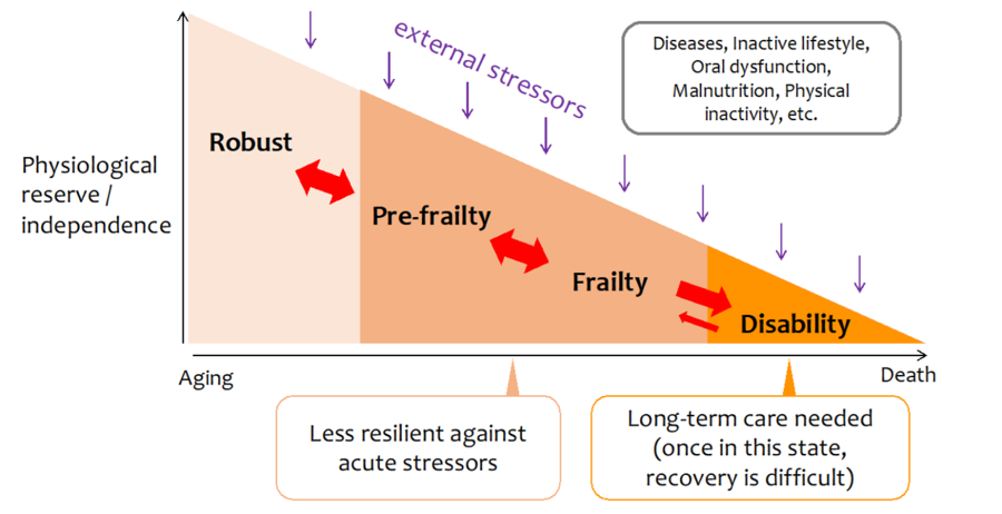 This is a conceptual diagram of frailty.Even in healthy people,when they are exposed to various external stresses with aging, their physiological reserve and independence decrease, and they progress to pre-frailty and frailty. If you do not take any action, your function will gradually become impaired and need long-term care. Once in a state of required long-term care, it is difficult to return to a robust state.