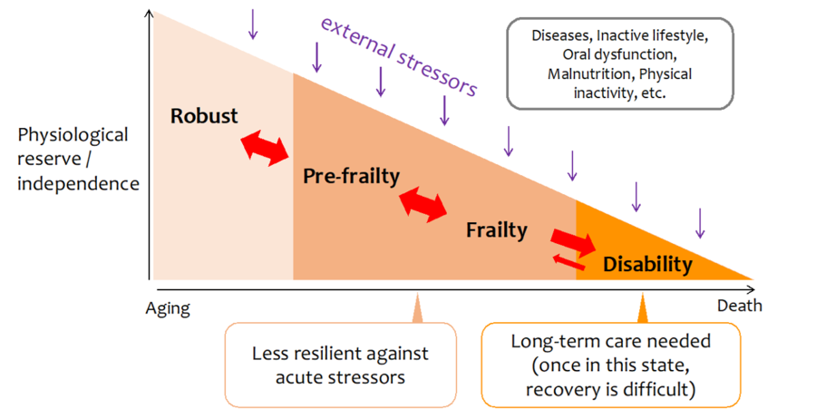 This is a conceptual diagram of frailty.Even in healthy people,when they are exposed to various external stresses with aging, their physiological reserve and independence decrease, and they progress to pre-frailty and frailty. If you do not take any action, your function will gradually become impaired and need long-term care. Once in a state of required long-term care, it is difficult to return to a robust state.
