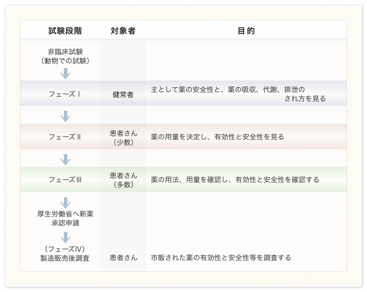 治験のすすめ方をフェーズごとに紹介