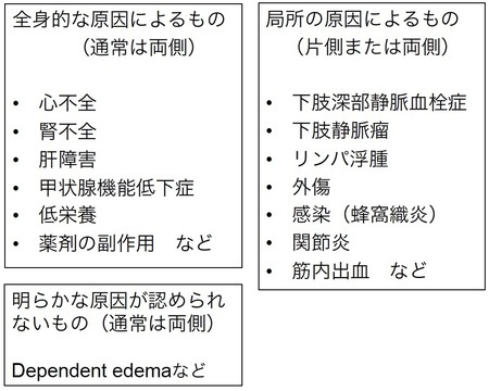 全身的な原因によるもの（通常は両側）心不全/腎不全/肝障害/甲状腺機能低下症/低栄養/薬剤の副作用など。局所の原因によるもの（片側または両側）下肢深部静脈血栓症/下肢静脈瘤/リンパ浮腫/外傷/感染（蜂窩織炎）/関節炎/筋内出血など。明らかな原因が認められないもの（通常は両側）Dependent edemaなど