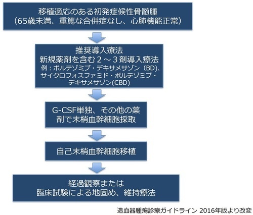 移植適応のある初発症候性骨髄腫（65歳未満、重篤な合併症なし、心肺機能正常）→（推奨導入療法）新規薬剤を含む2から３剤導入療法　例：ボルテゾミブ・デキサメサゾン（BD）、サイクロフォスファミド・ボルテゾミブ・デキサメザゾン（CBD）→G-CSF単独、その他の薬剤で末梢血幹細胞採取→自己末梢血幹細胞移植→経過観察または臨床試験による地固め、維持療法　※造血器腫瘍診療ガイドライン2016年版より改変