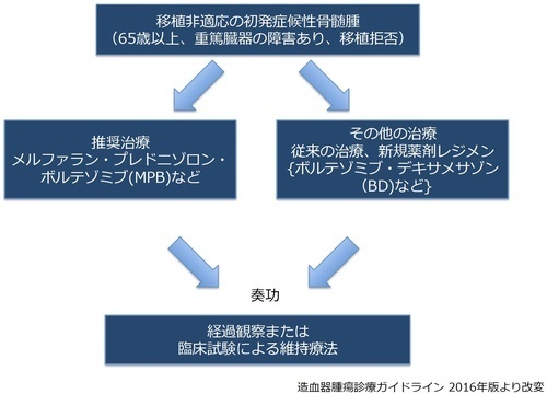 移植非適応の初発症候性骨髄腫（65歳以上、重篤臓器の障害あり、移植拒否）→【推奨治療】メルファラン・プレドニゾロン・ボルテゾミブ（MPB）など【その他の治療】従来の治療、新規薬剤レジメン（ボルテゾミブ・デキサメタゾン（BD）など）→【奏功】経過観察または臨床試験による維持療法　※造血器腫瘍診療ガイドライン2016年版より改変