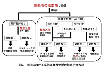 図3当院における高齢者脊椎骨折の初期治療方針