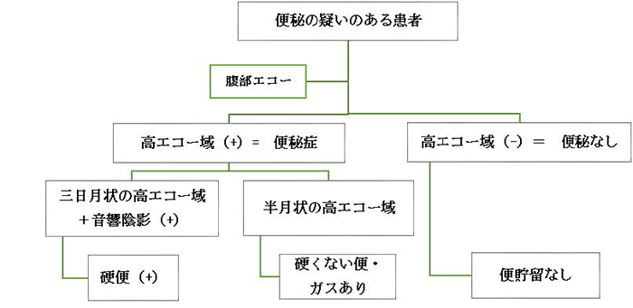 便秘の疑いのある患者へ腹部エコーをかける（分岐点）A．高エコー域（＋）＝便秘症（分岐点）ａ．三日月状の高エコー域＋音響陰影（＋）→硬便（＋）／ｂ．半月状の高エコー域→硬くない便・ガスあり／Ｂ．高エコー域（−）＝便秘なし→便貯留なし