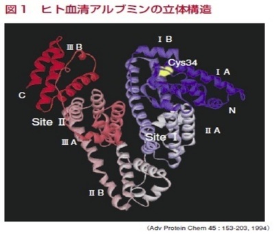 図1　ヒト血清アルブミンの立体構造