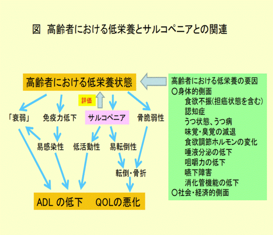 高齢者における低栄養の要因に身体的側面として、食欲不振（担癌状態を含む）、認知症、うつ状態、うつ病、味覚・嗅覚の減退、食欲調整ホルモンの変化、唾液分泌の低下、咀嚼力の低下、嚥下障害、消化管機能の低下。そして社会・経済的側面が高齢者における低栄養状態につながる図