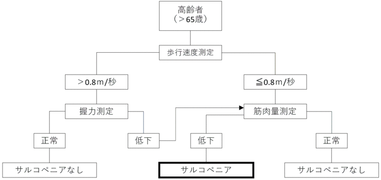 年齢が65際を超えている高齢者に対するサルコペニアか否かのアルゴリズム。 歩行速度が0.8ｍ毎秒より早く、且つ握力が正常であればサルコペニアなし。 歩行速度が0.8ｍ毎秒より速く、且つ握力が低下している場合、筋肉量が低下していればサルコペニアであり、筋肉量が正常であればサルコペニアなし。 歩行速度が0.8ｍ毎秒以下で、且つ筋肉量が正常であればサルコペニアなし。 歩行速度が0.8ｍ毎秒以下で、且つ筋肉量が低下していればサルコペニア。