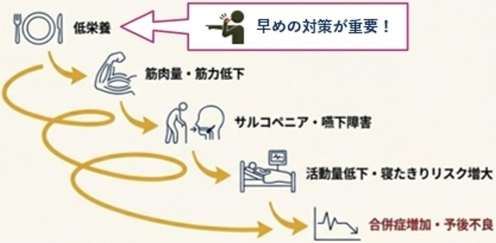 エネルギーが不足すると、低栄養→筋肉量・筋力低下→サルコペニア・嚥下障害→活動量低下・寝たきりリスク増大→合併症増加・予後不良と推移します。早めの対策が重要です。