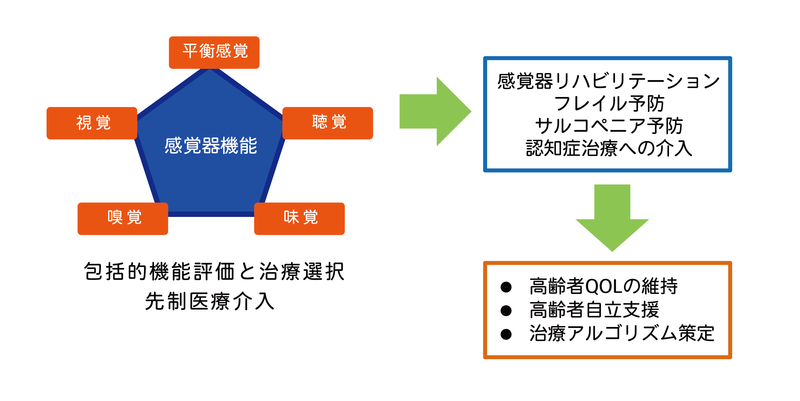 １．感覚器機能（平衡感覚、視覚、聴覚、嗅覚、味覚）による包括的機能評価と治療選択により先制医療を介入します。２．感覚器リハビリテーション、フレイル予防、サルコペニア予防、認知症治療へ介入します。３．高齢者QOL（Quality of Life）の維持、自立支援、治療アルゴリズム策定を実施します。