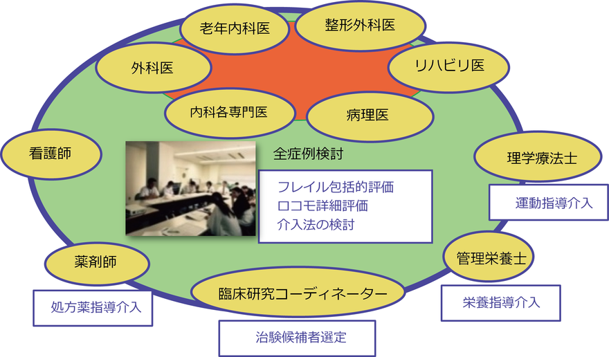 ロコモフレイルセンター相関図