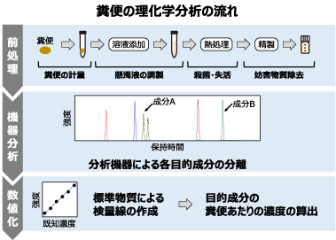 糞便の理化学分析の流れ