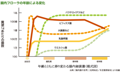 腸内フローラの年齢による変化