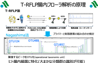 腸内細菌叢の解析図