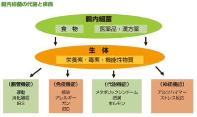 腸内細菌の代謝と疾病