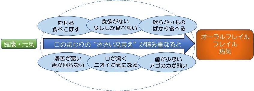 むせる、食べこぼす、食欲がない、少ししか食べない、やわらかいものばかり食べる、滑舌が悪い、舌が回らない、口が渇く、ニオイが気になる、歯が少ない、アゴの力が弱い・・・口のまわりの”ささいな衰え”が積み重なると、健康・元気からオーラルフレイル、フレイル、病気になります。