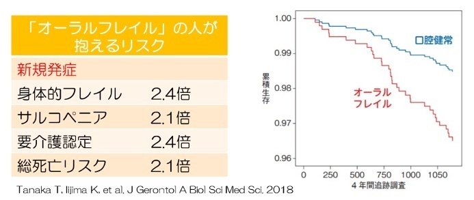 「オーラルフレイル」の人が抱えるリスク：（新規発症）４年間の追跡調査の結果、身体的フレイル2.4倍、サルコペニア2.1倍、要介護認定2.4倍、総死亡リスク2.1倍になります。