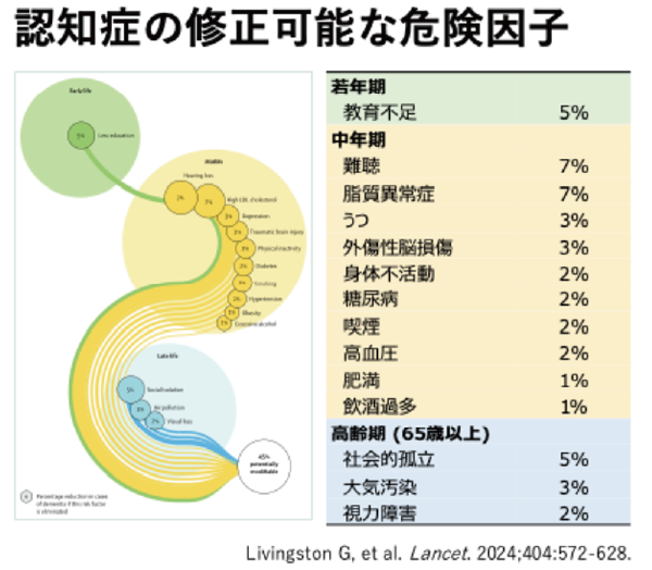 【若年期】教育不足5％【中年期】難聴7％、脂質異常症7％、うつ3％、外傷性脳損傷3％、身体不活動2％、糖尿病2％、喫煙2％、高血圧2％、肥満1％、飲酒過多1％【高齢期（65歳以上）】社会的孤立5％、大気汚染3％、視力障害2％ Livingston G,et al. Lancet.2024;404:572-628.