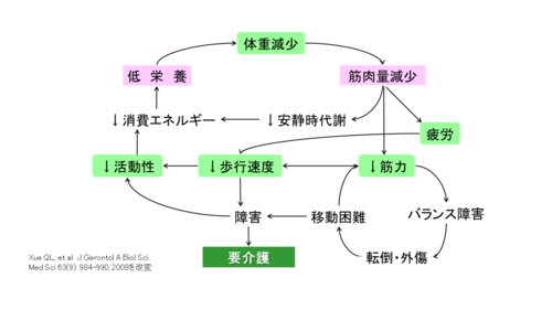 フレイルサイクルの図