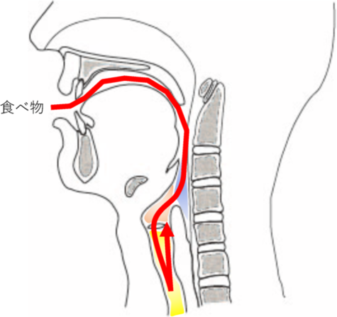 誤嚥の流れ