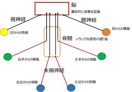 しびれの原因は 国立長寿医療研究センター