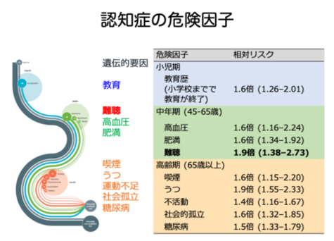 認知症の危険因子