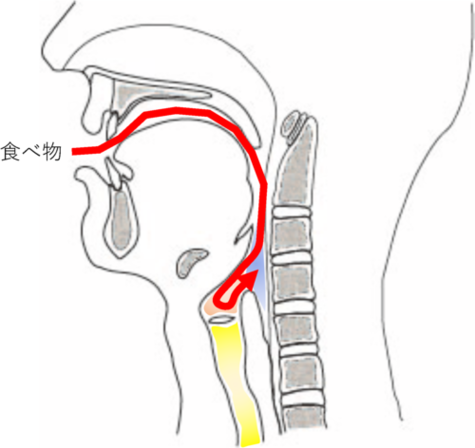 誤嚥の流れその２