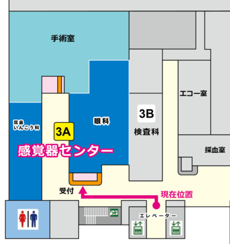 感覚器外来案内図