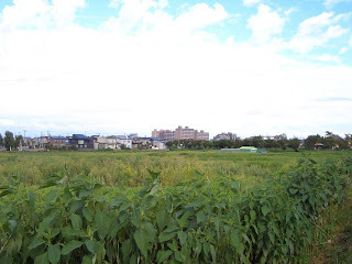 病院の遠景での写真