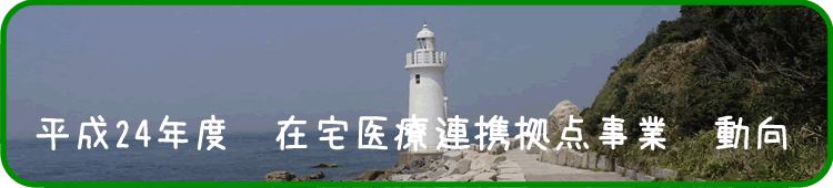 平成24年度　在宅医療連携拠点事業 動向