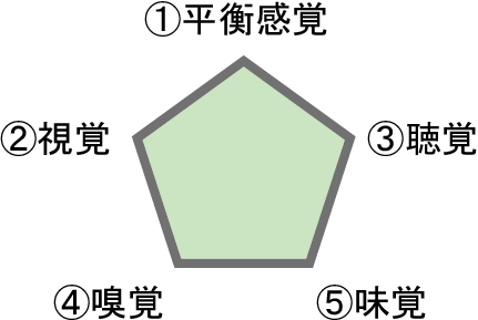 五感グラフ