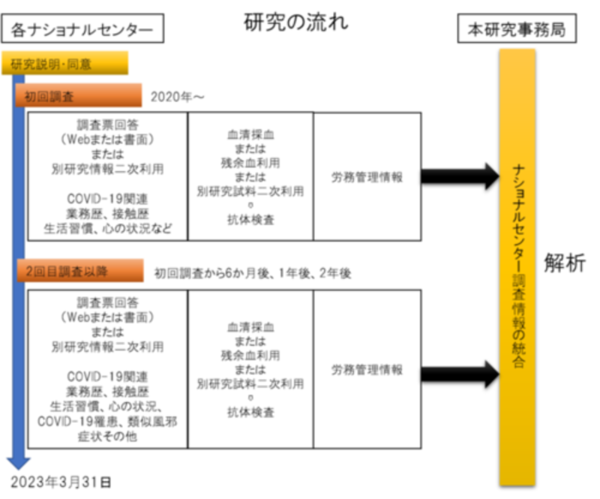 研究の流れ