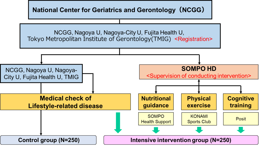 This is shown the J-MINT structure. Our center, National center for Geriatrics and Gerontology, is the command tower. Our center and 4 institutes are working together for recruitment and Medical check of lifestyle-related disease. SOMPO HD is supervising Multimodal intervention. 