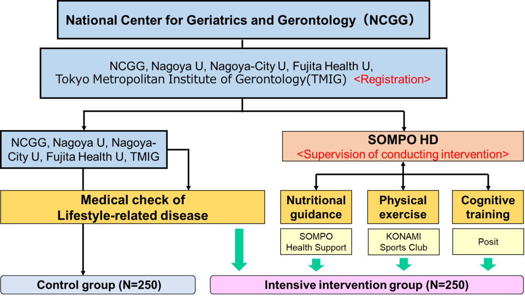 This is shown the J-MINT structure. Our center, National center for Geriatrics and Gerontology, is the command tower. Our center and 4 institutes are working together for recruitment and Medical check of lifestyle-related disease. SOMPO HD is supervising Multimodal intervention.