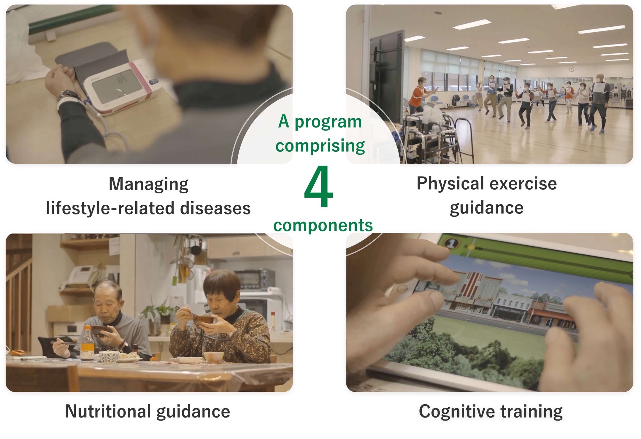 A program comprising 4 components: Managing style-related diseases, Physical exercise guidance, Nutritional guidance, Cognitive training