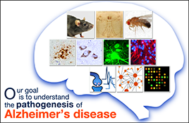 Neurogenetics