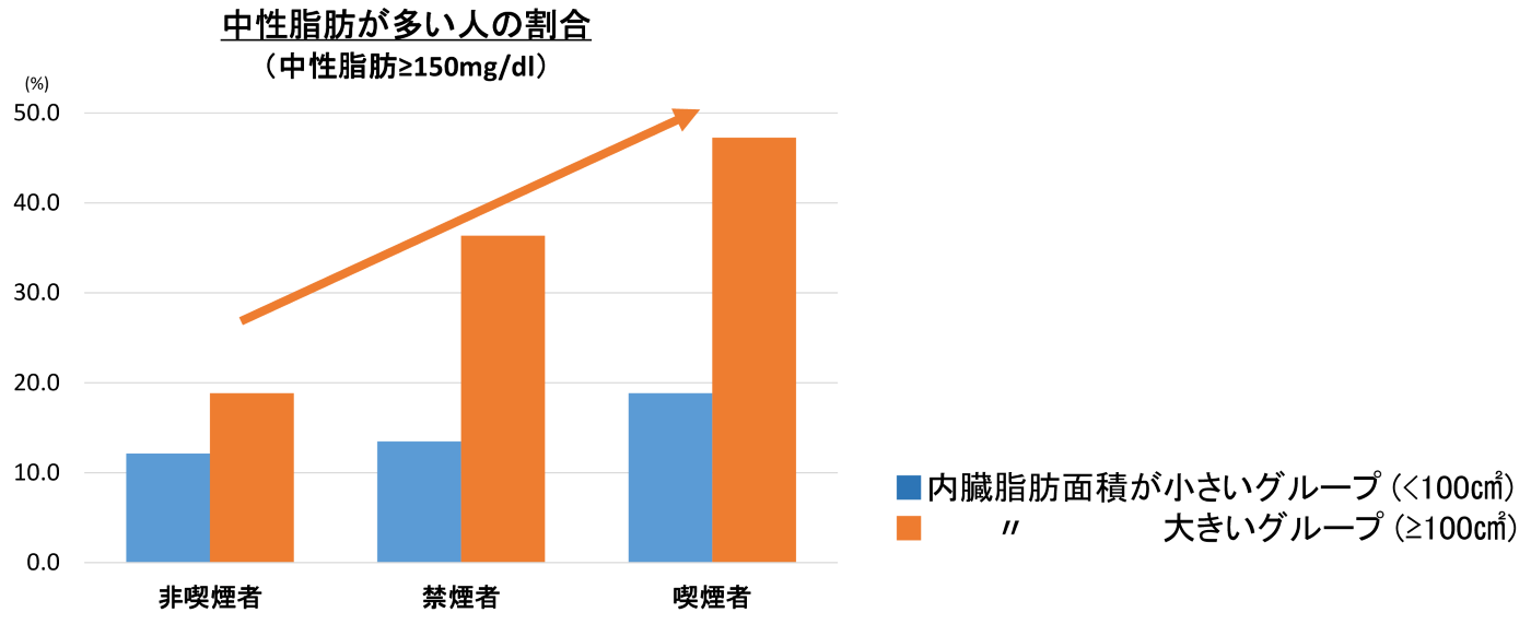 非喫煙者、禁煙者、喫煙者それぞれで、中性脂肪が多い人の割合を内臓脂肪面積が小さいグループと内臓脂肪面積が大きいグループで比較した図。