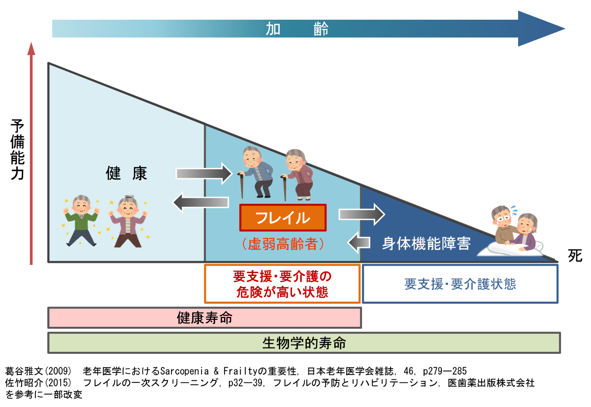 高齢になるにつれて、予備能力の高さによりフレイル状態と健康な状態、身体機能障害とフレイルの状態を行き来することを表したイラスト。