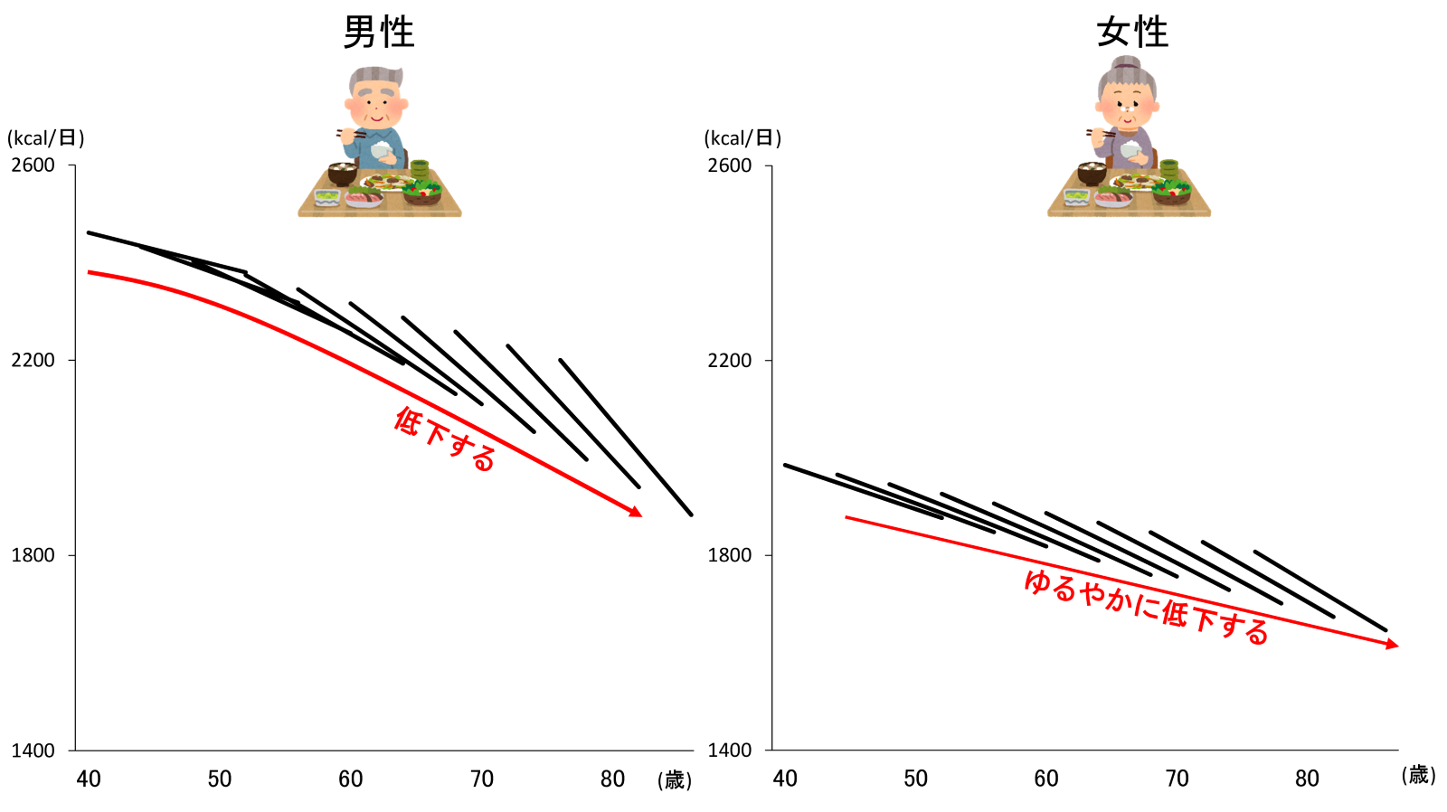 図1、40歳以上の男性922名、女性879名それぞれの1日あたりのエネルギー摂取量の経年変化を示す。