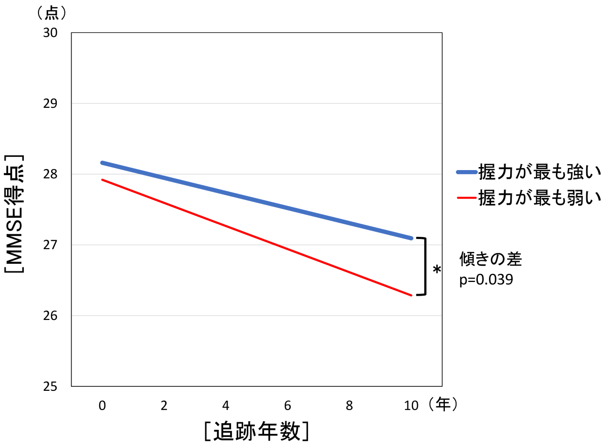 10年間の追跡調査のMMSE得点の変化を示した図。青線が握力がもっとも強いグループ、赤線が握力が最も弱いグループの変化を表しており、10年後、握力の弱いグループのMMSE得点が低いことが示されている。