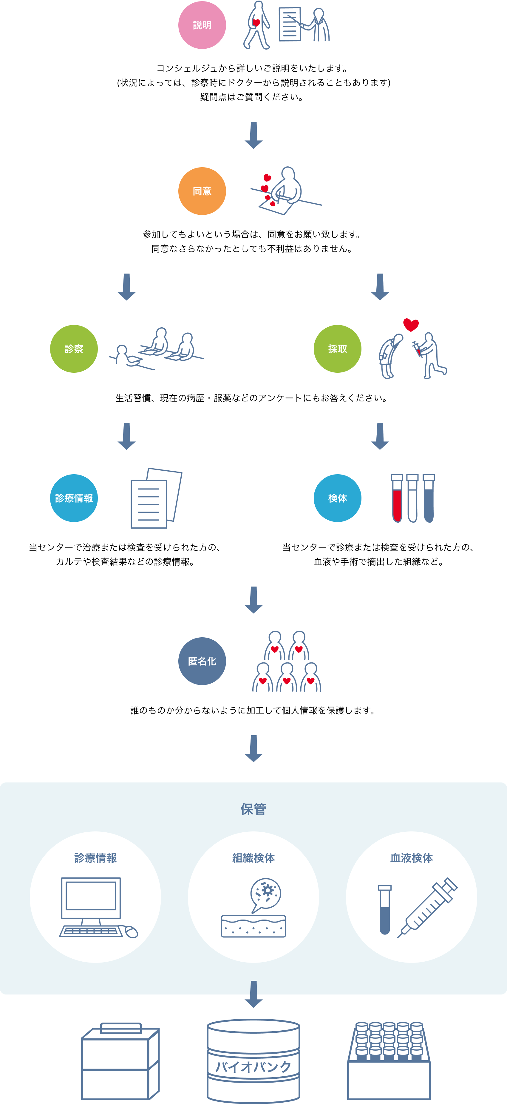 説明→同意→診察・採取→診療情報・検体→匿名化→保管(診療情報・組織検体・血液検体)→バイオバンク