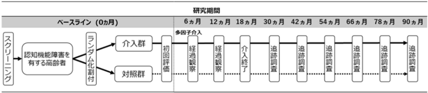【研究期間ベースライン(０か月)】スクリーニング→認知機能を有する高齢者→ランダム化割付→介入群または対照群→【研究期間6か月から90か月】初回評価→経過観察→経過観察→介入終了→追跡調査→追跡調査→追跡調査→追跡調査→追跡調査→追跡調査→追跡調査