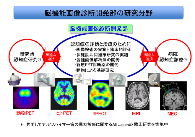 research_fields