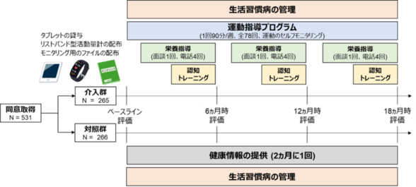 J-MINT研究フロー図