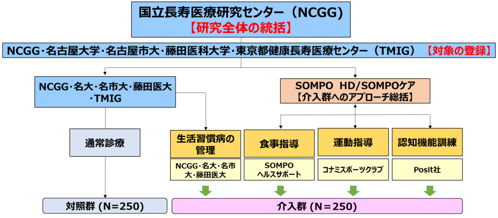 研究統括は国立長寿医療研究センターが行います。対象者の登録は国立長寿医療研究センター、名古屋大学、名古屋市立大学、藤田医科大学、東京都健康長寿医療センターで行います。これらの施設は介入群と対照群に対する健康管理を行います。そして介入群への多因子介入はSOMPOホールディングスとSOMPOケアが行ないます。