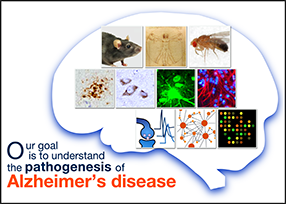 Neurogenetics