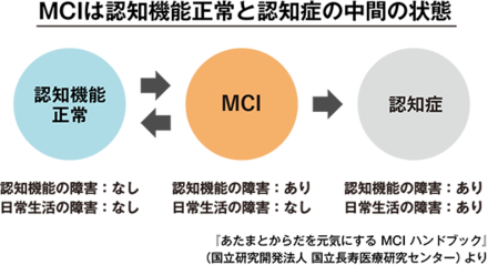 MCIが認知機能正常と認知症の中間の状態であることを示す図