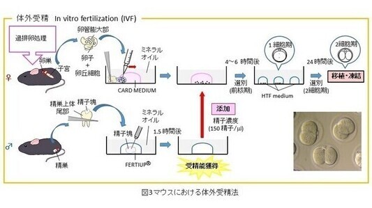 fig3