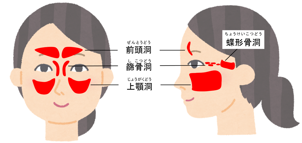 No 37 蓄膿になりやすいのはどういう人 国立長寿医療研究センター